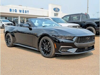 2024 Ford Mustang ECOBOOST PREMIUM CONVERTIBLE w/NITE PONY PKG in Cars & Trucks in Edmonton