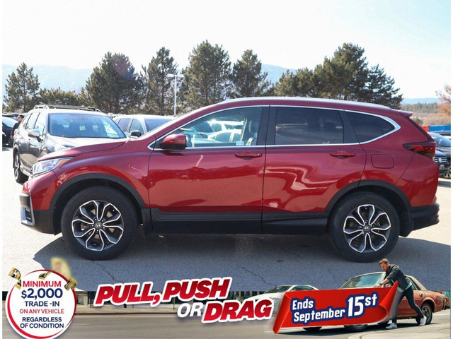 2020 Honda CR-V EX-L AWD - BC Vehicle / Backup Camera / Sunroof in Cars & Trucks in Penticton - Image 2