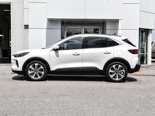 2023 Ford Escape Platinum WOW...PLATINUM, MOONROOF , STAR WHITE! in Cars & Trucks in Kawartha Lakes - Image 4