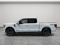 TWIN PANEL MOONROOF, FX4 OFF-ROAD PKG, LARIAT BLACK APPEARANCE PKG, PRO POWER ONBOARD - 7.2KW, B&O U... (image 5)