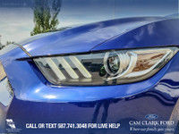 Thanks for viewing our Cam Clark Ford Inventory! Why buy from Cam Clark Ford Red Deer? It’s simple.... (image 8)