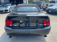 All vehicles come with a full vehicle History Report, ask to see it! 2003 Ford Mustang SVT 10th anni... (image 5)