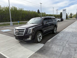 2015 Cadillac Escalade Premium