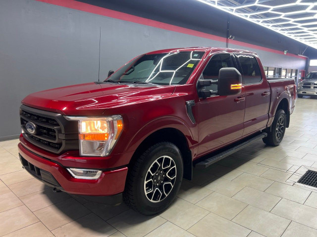 2021 Ford F-150 in Cars & Trucks in Edmonton - Image 3