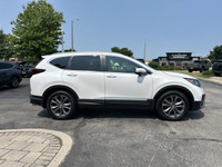 Come visit our Sterling Honda team, you can find us at 1495 Upper James Street, Hamilton, ON L9B 1K2... (image 3)