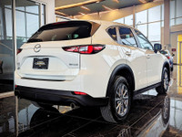 Comes equipped with: Power Mirrors, Shark fin antenna, Halogen Headlamps, Courtesy lights, Fog Light... (image 4)