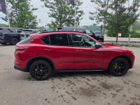 Experience the Thrill of the Road with the 2020 Alfa Romeo Stelvio: A Compact Luxury SUV for the Dis... (image 3)