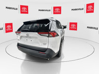 The 2023 Toyota RAV4 XLE is a mid-range trim of the popular RAV4 SUV, offering a blend of style, tec... (image 9)