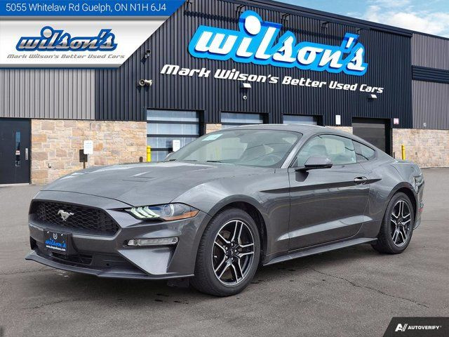 2020 Ford Mustang EcoBoost Premium Coupe | 6-Speed Manual in Cars & Trucks in Guelph