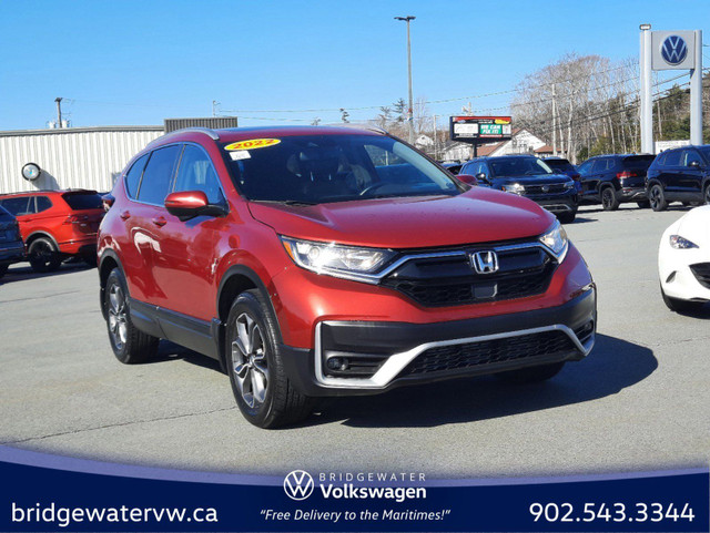 2022 Honda CR-V EX-L in Cars & Trucks in Bridgewater - Image 4