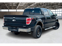 COME SEE WHY ''NOBODY BEATS A DEAL FROM PEEL!'' Your Source for ALL make and models used cars and tr... (image 1)