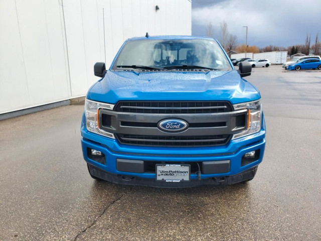  2019 Ford F-150 XLT Sport - Winter Tire Package! in Cars & Trucks in Winnipeg - Image 2