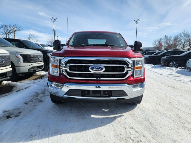  2022 Ford F-150 XLT 301A 5.0L | MAX TOW | LANE KEEP in Cars & Trucks in Calgary - Image 2