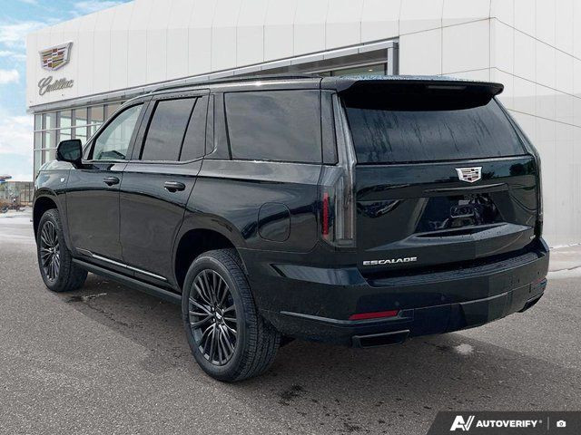 2025 Cadillac Escalade 4WD Sport Platinum in Cars & Trucks in Winnipeg - Image 3