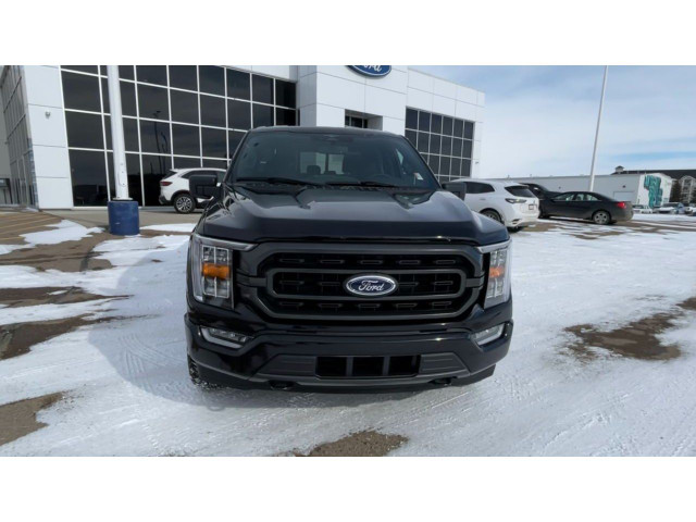  2023 Ford F-150 XLT in Cars & Trucks in Medicine Hat - Image 4