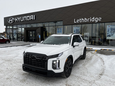 Hyundai Palisade Urban 2024