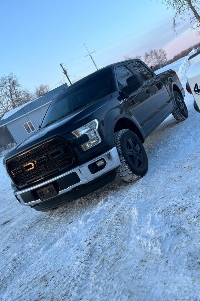 2015 Ford F 150 XLT in Cars & Trucks in Strathcona County