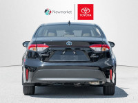 Low Mileage, Heated Seats, Blind Spot Detection, Lane Keep Assist, LED Lights, Apple CarPlay! Compar... (image 5)