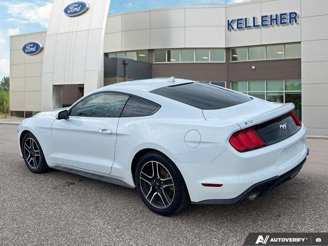 2021 Ford Mustang EcoBoost in Cars & Trucks in Brandon - Image 3