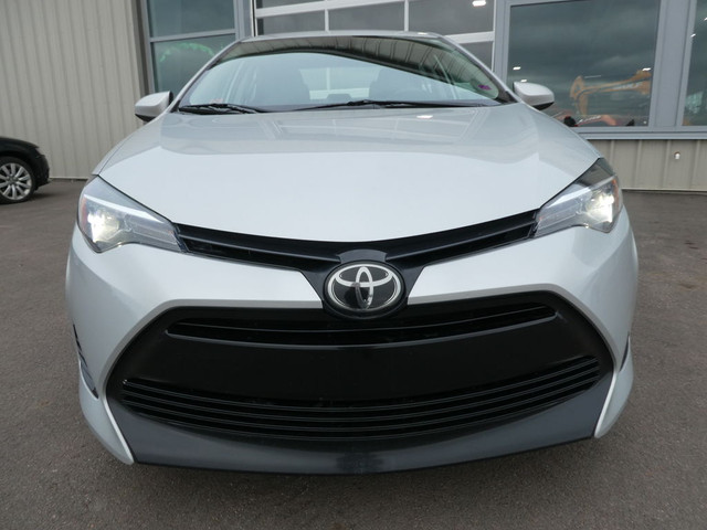  2019 Toyota Corolla Bluetooth, Cruise, Back Up Camera in Cars & Trucks in Moncton - Image 2