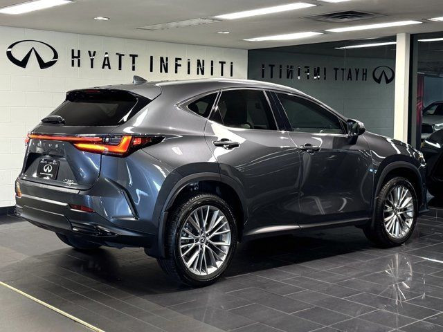 2024 Lexus NX NX 350 - Apple CarPlay | Cooled Seats | Seat in Cars & Trucks in Calgary - Image 3