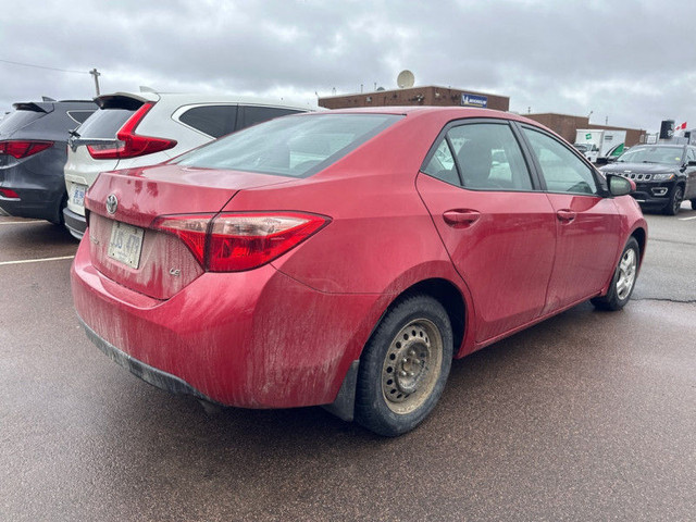 2019 Toyota Corolla LE - Certified - Heated Seats - $171 B/W in Cars & Trucks in Moncton - Image 4