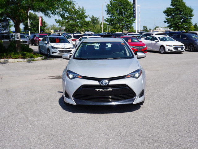 2019 Toyota Corolla - Low Mileage in Cars & Trucks in Ottawa - Image 4