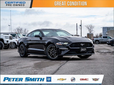 2021 Ford Mustang EcoBoost - 2.3L Ecoboost 310HP | Rear Vision