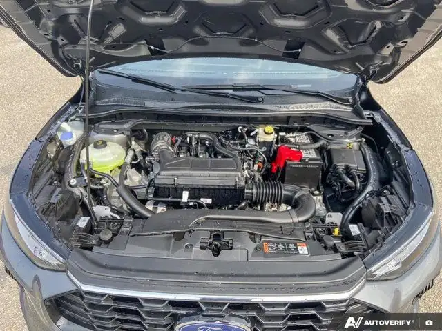 2025 Ford Escape ST-Line in Cars & Trucks in Brandon - Image 21