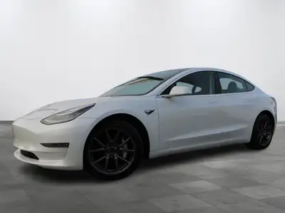 2019 Tesla Model 3 Standard Range Plus MAGS 18 NAVI CAMERA 2019 TESLA MODEL 3 STANDARD RANGE PLUS NA...