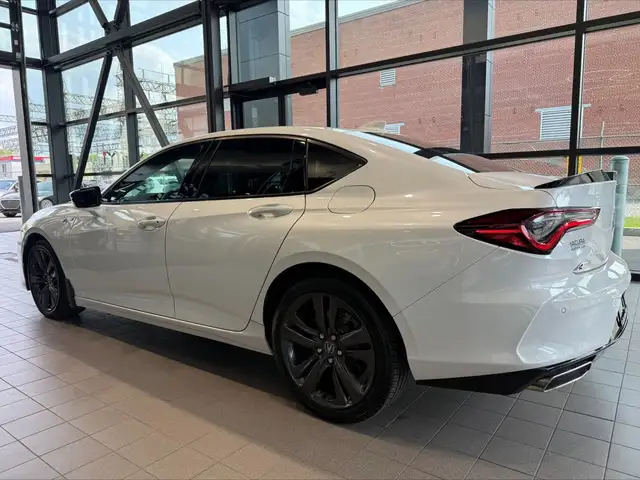 2023 Acura TLX A-Spec62936595151363124