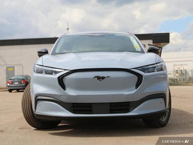 2025 Ford Mustang Mach-E Premium AWD in Cars & Trucks in Edmonton - Image 2