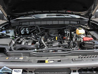 **WE WILL BEAT ANY FORD DEALER IN THE CITY** With its unquestioned toughness and durability, the 202... (image 6)