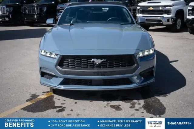 2024 Ford Mustang EcoBoost Premium CONVERTIBLE | AUTO | CERTIFIE in Cars & Trucks in Calgary - Image 3