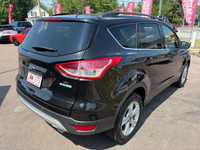 SE Trim! EcoBoost 1.6Ltr 4Cyl Automatic! Dual Zone AC! Navigation! Cruise Control! Heated Seats! Bac... (image 5)
