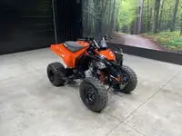 2023 Can-Am DS 250