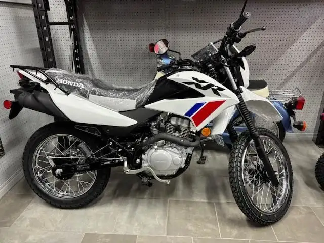 2025 HONDA XR 150 LS Dual Sport White in Street, Cruisers & Choppers in Winnipeg - Image 2