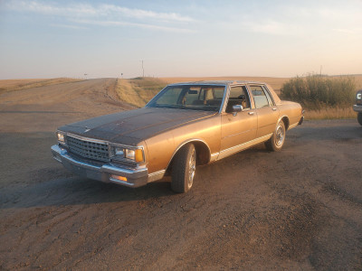 Rare, Rust free Low Mileage 82' Caprice Diesel, Only 27k! $12 Plates!