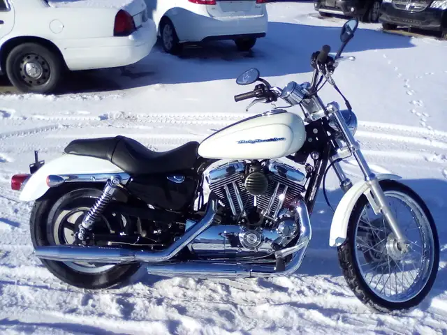 2005 Hd Sp XL1200 in Cars & Trucks in Winnipeg - Image 3