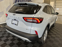 Employee Pricing on now! You pay what we pay on every New and Used Vehicle at Boundary Ford - Best D... (image 8)