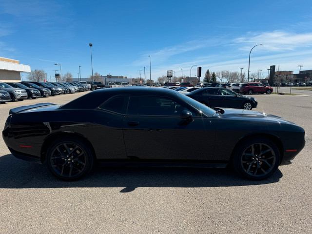 2019 Dodge Challenger SXT in Cars & Trucks in Lethbridge - Image 4