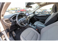 MANITOBA VEHICLE! - Panoramic Sunroof - Remote Start - Apple CarPlay & Android Auto - Backup Camera... (image 7)