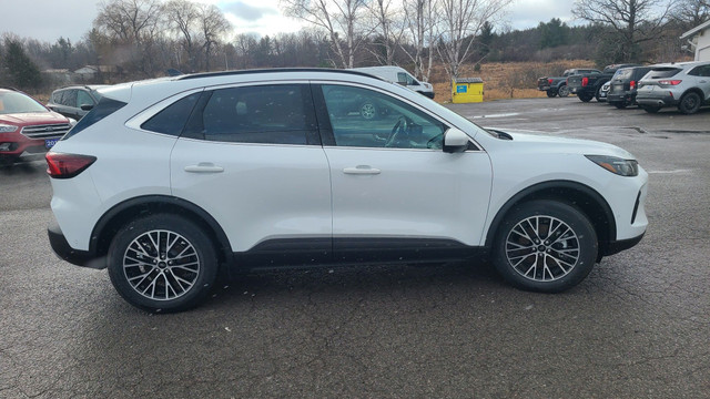2023 Ford Escape PHEV in Cars & Trucks in Belleville - Image 4