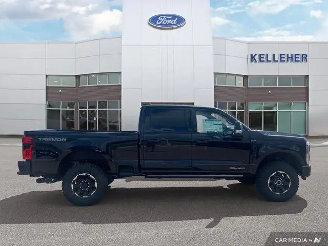 2025 Ford Super Duty F-350 SRW Platinum in Cars & Trucks in Brandon - Image 7