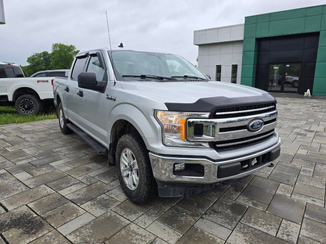2019 Ford F-150 in Cars & Trucks in Ottawa - Image 3