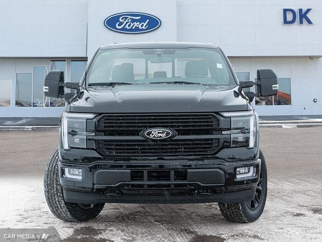 2025 Ford F-150 Platinum in Cars & Trucks in Edmonton - Image 2