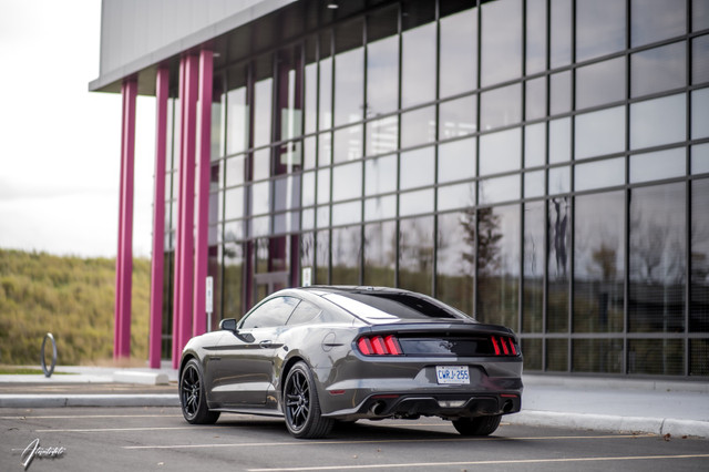 2016 Ford Mustang EcoBoost Premium in Cars & Trucks in Ottawa - Image 4