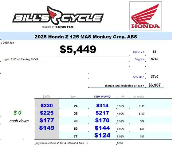 2025 HONDA Z 125 MAS Monkey ABS Grey in Street, Cruisers & Choppers in Winnipeg - Image 4