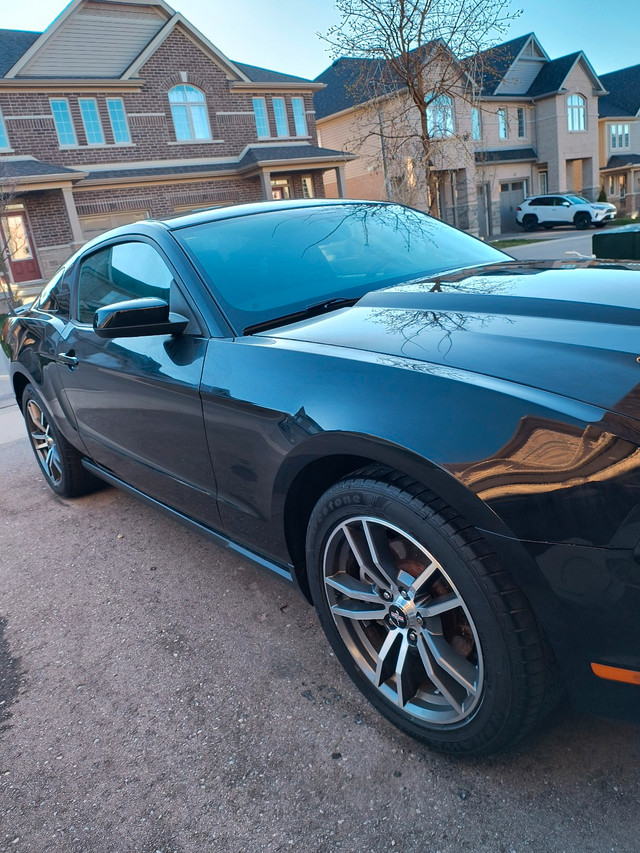 2012 Ford Mustang V6 in Cars & Trucks in Kitchener / Waterloo