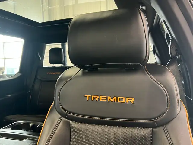 2023 Ford F-150 TREMOR 402A 3.5 V6 4X4 | PANO ROOF | B&O SOUND dans Autos et camions dans Lloydminster - Image 21